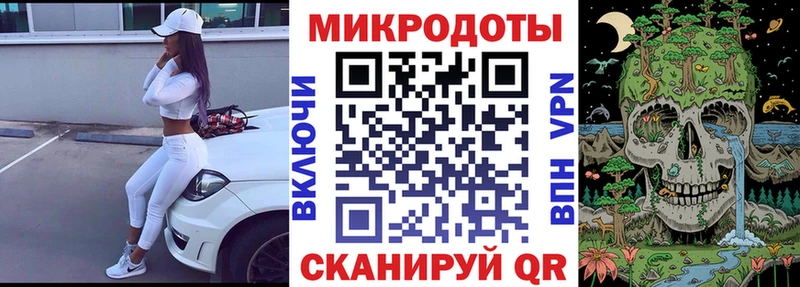 Галлюциногенные грибы Psilocybe  Апшеронск 